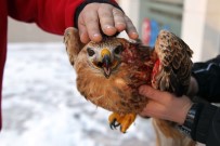 BÜLENT VARDAR - Soğuk Ve Yağışlı Hava Hayvanları Da Vurdu