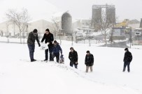 SULTANGAZİ BELEDİYESİ - Sultangazi Belediyesi Sokak Hayvanlarını Unutmadı