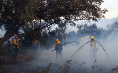 ABD'de Orman Yangınları Açıklaması 10 Ölü