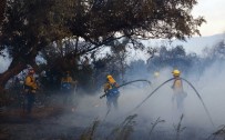 NEVADA - ABD'de Yangın Açıklaması 10 Ölü