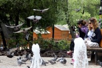 KABLOSUZ İNTERNET - Çankaya'da Ücretsiz İnternet Hizmetinden 58 Bin 245 Kişi Yararlandı