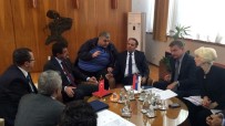 SIRBİSTAN CUMHURBAŞKANI - Türk Ve Sırp Bakanlar Arasında İşbirliği Müzakereleri