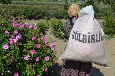 Ekonomisine 40 Milyon Avroluk 'Gül'düren Katkı