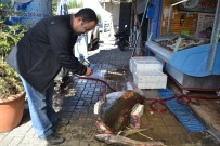 Gören Bir Daha Baktı