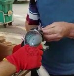 İTFAİYE MERDİVENİ - Ağaçta Asılı Kalan Güvercini İtfaiye Kurtardı