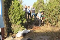 DİYALİZ MERKEZİ - İş Yerini Açan Esnaf Önce Kaza Yapan Otomobili Sonra Cesedi Buldu