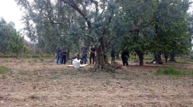 Karacabey TİGEM'de Kaçak Kazı Yapan 5 Kişi Suçüstü Yakalandı