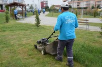 KÖSEKÖY - Kartepe'de Yabani Otlar Temizleniyor