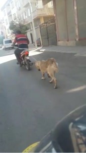 Köpeğin Boğazına İp Geçirip Motosikletin Arkasına Bağladı