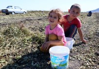 4 Yaşında Geçim Derdinde