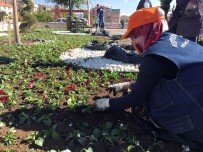 Menekşeler Keçiören'i Renklendirdi