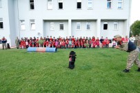 PUZZLE - Narkotik Köpeği 'Uydu' Öğrencilerden Alkış Topladı