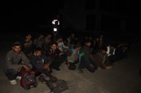 Sakarya'da 67 Göçmen Yakalandı