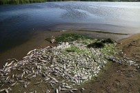 ENDÜSTRI MESLEK LISESI - Susurluk Çayına Bırakılan Madde Vatandaşları İsyan Ettirdi