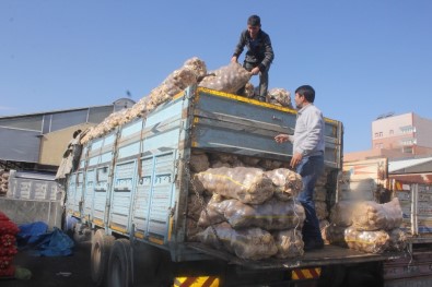 Ahlat Patatesi Ağrı Tezgahlarında