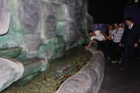 SEYRANTEPE - Diyarbakır'ı 'Anadolu Ateşi' Sardı