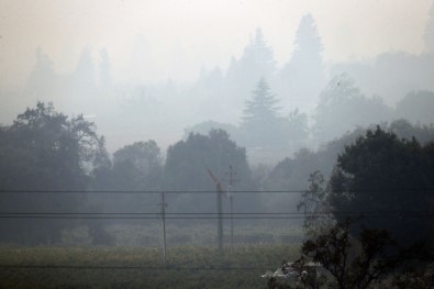 Kaliforniya'da Orman Yangını Sürüyor