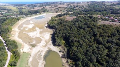 Sinop'ta Balık Ölümleri Devam Ediyor