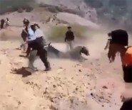 Ayı Peşmergelere Saldırdı Açıklaması 2 Yaralı