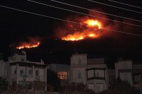 Bodrum'da alevler yerleşim yerlerine yaklaştı