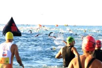 Dünyanın Demir Adamı Belli Oluyor