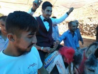 GELİN ARABASI - Eşek Gelin Arabası Oldu