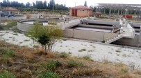 ŞEHMUS GÜNAYDıN - Isparta'da Kötü Kokuyla Mücadeleye 600 Bin Euro