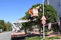 KONYAALTI BELEDİYESİ - Konyaaltı'nda Kış Hazırlıkları Başladı