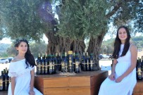 ZEYTİN AĞACI - 1800 Yıllık Ağaçtan Çıkan Zeytinyağı 22 Bin Liraya Satıldı