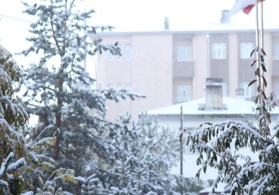 Ardahan'da Kar Esareti Başladı