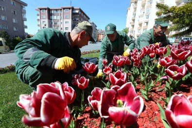 Bağcılar'da Park Ve Bahçeler Kışa Dayanıklı Çim Ve Çiçeklerle Donatılıyor