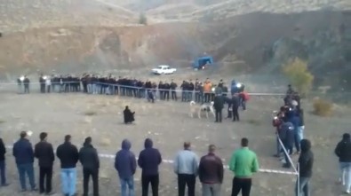 Bahisle Köpek Dövüşüne Jandarma Baskını