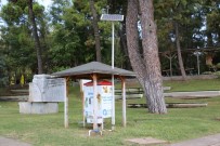 SERDENGEÇTI - Büyükşehir Sokak Hayvanlarına Sahip Çıkıyor