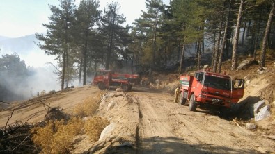 İzmir'deki Orman Yangını Kontrol Altında