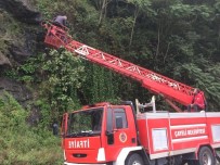 İTFAİYE MERDİVENİ - Kayalıklarda Mahsur Kalan Köpeği İtfaiye Ekipleri Kurtardı