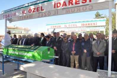 Sakarya Valisi Balkanlıoğlu'nun Acı Günü