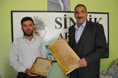 Sincik'te 100 Ton Organik Bal Üretimi Hedefleniyor