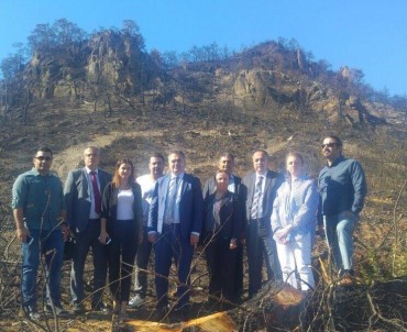 İzmir Barosundan Yanan Orman İçin Kampanya