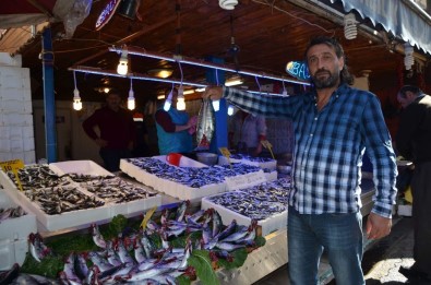 Trabzon'da Sezonun En Bol Hamsi Ve Palamut Avı Yüzleri Güldürdü