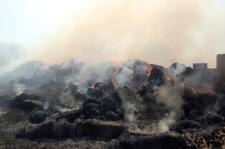 KONUKLU - 150 Ton Saman Balyası Kül Oldu