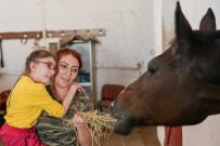 ATLI TERAPİ - Özel Çocuklar İçin Atlı Terapi