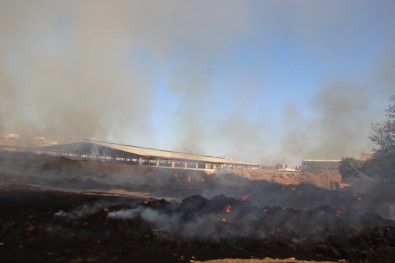 Şanlıurfa'da Çıkan Yangında Tonlarca Saman Kül Oldu