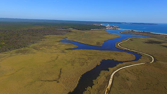 Longozun sonbahardaki güzelliği havadan görüntülendi