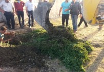 UYUŞTURUCU OPERASYONU - Bulanık'ta 188 Kilogram Hint Keneviri Ele Geçirildi