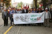 SOSYAL DEMOKRAT - Odunpazarı'nda Festival Var