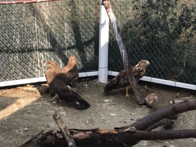 Afyonkarahisar'da Bu Kadarı Da Olmaz Dedirten Olay