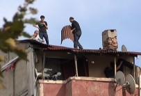 Beyoğlu'nda Çatıdaki İşçilerin Ölümle Dansı