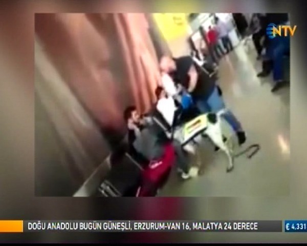 Viyana Havaalanı'ndaki köpekli arama