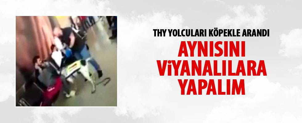 Viyana Havaalanı'ndaki köpekli arama