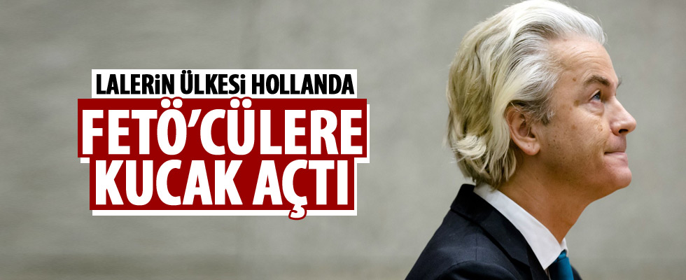 Hollanda darbecilere kucak açtı